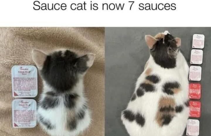 
								Used Acura ILX LIMITED EDITION full									