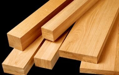 New 2009 Acura ILX LIMITED EDITION